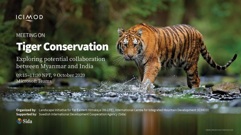 Tiger conservation: Exploring potential collaboration between Myanmar