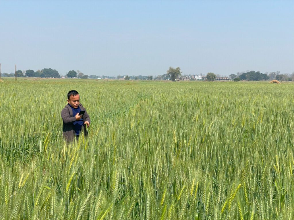 Satellite imagery in rice crop mapping: Sowing the seeds for stronger food security