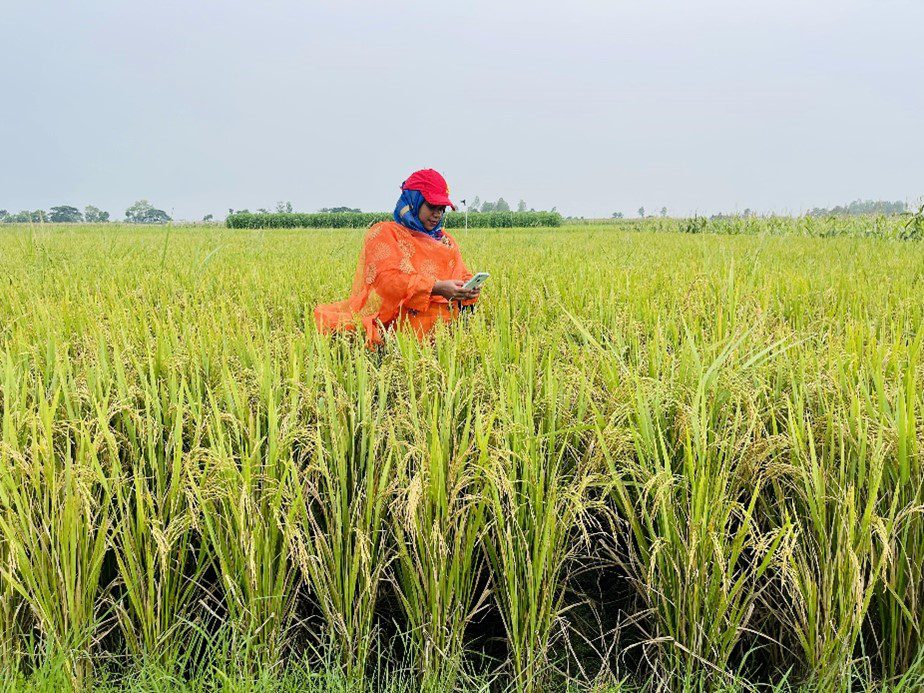 Harnessing Earth observation technology for Bangladesh’s agricultural resilience