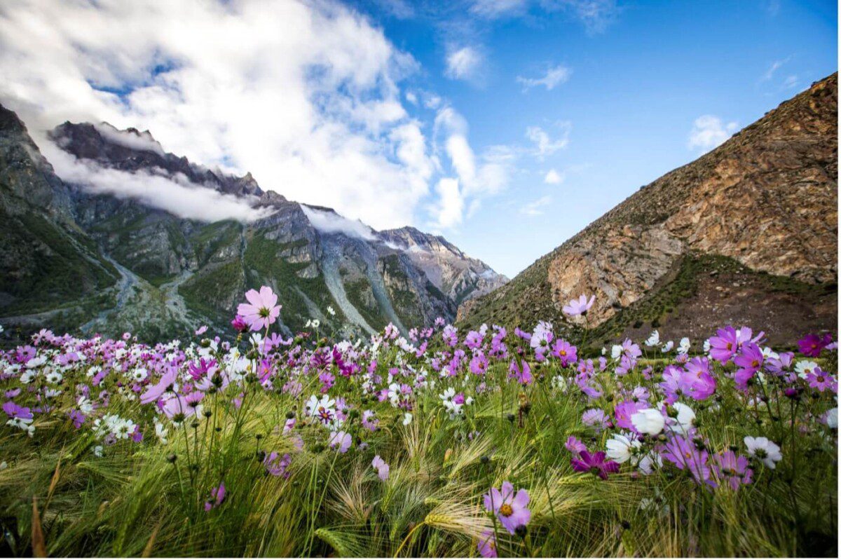 Restoring ecosystems and landscapes in the Hindu Kush Himalaya: our longer-term commitments to achieving global goals